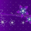 violetforce